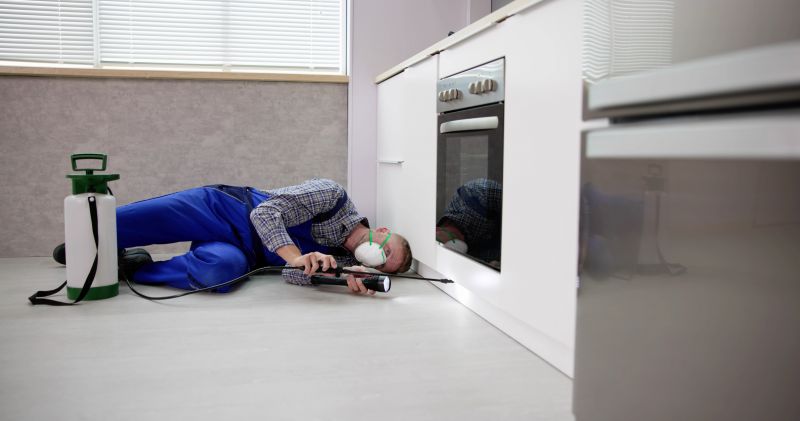 Professional Inspection